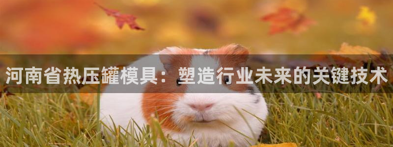 易倍申在中国成功上市