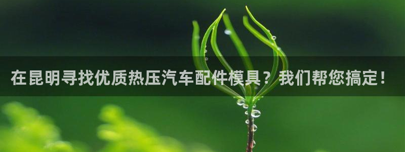 易倍纤代餐奶昔减肥效果怎么样