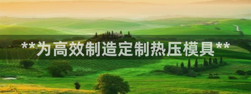 低频的emc用什么滤波：**为高效制造定制热压模具**