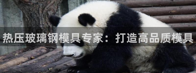 emc易倍怎么样