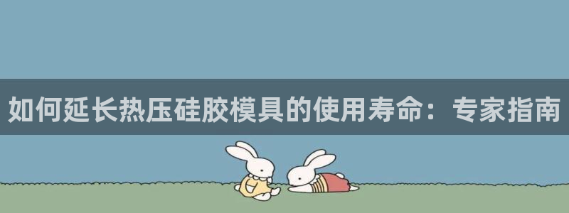 易倍达科技有限公司代运营：如何延长热压硅胶模具的使用寿命
