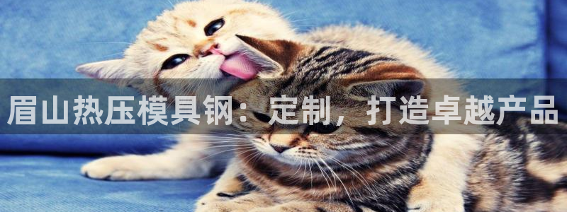 emc倍频干扰怎么解决：眉山热压模具钢：定制，打造卓越产