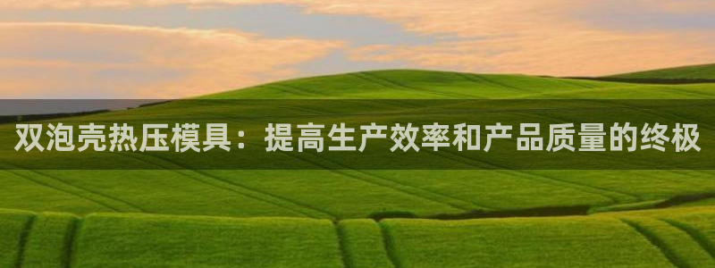 易倍申价格：双泡壳热压模具：提高生产效率和产品质量的终极