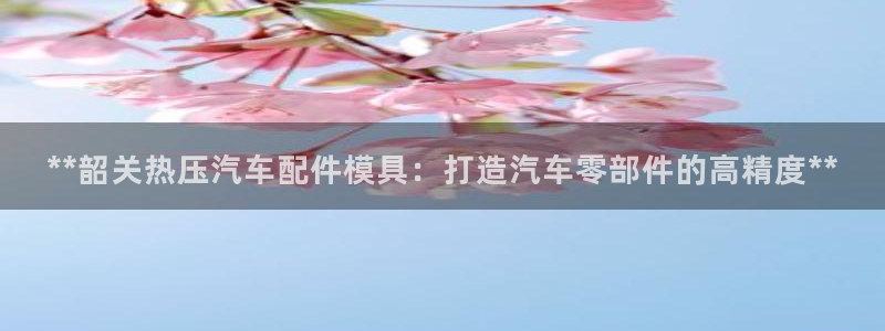 emc易倍官网app：**韶关热压汽车配件模具：打造汽车