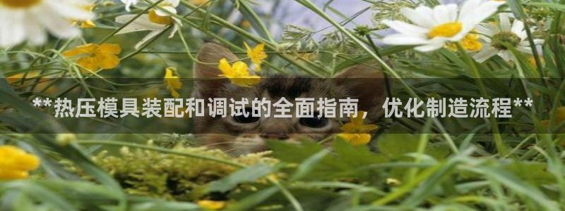 EMC倍频原理：**热压模具装配和调试的全面指南，优化制