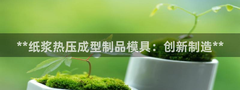 emc易倍老板：**纸浆热压成型制品模具：创新制造**
