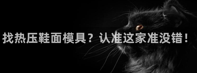 易倍达怎么样