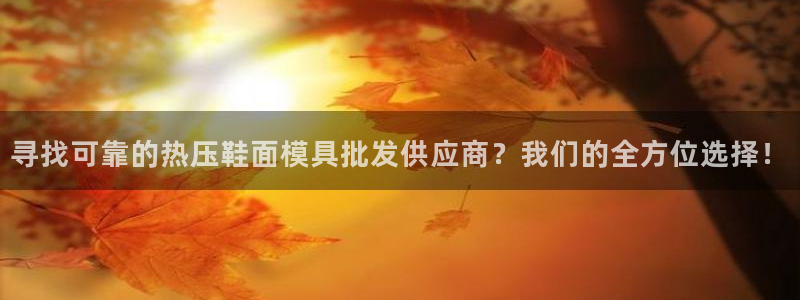 emc服务器是什么：寻找可靠的热压鞋面模具批发供应商？我