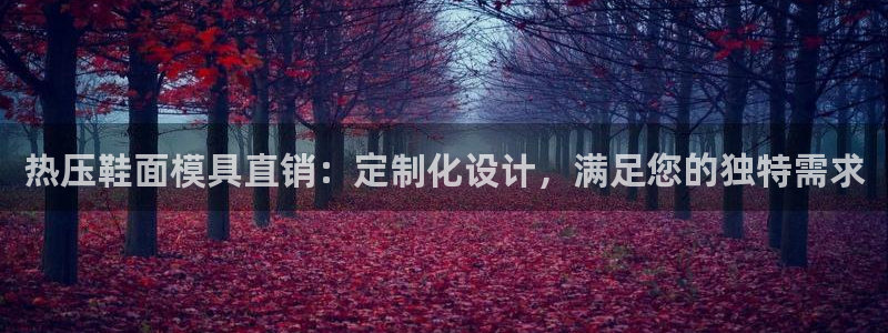 emc易倍官网app：热压鞋面模具直销：定制化设计，满足