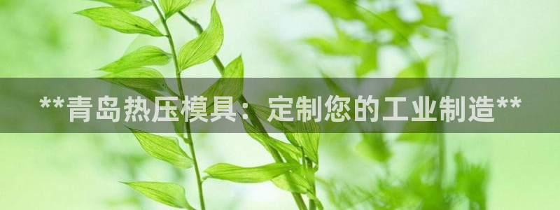 EMC易倍：**青岛热压模具：定制您的工业制造**