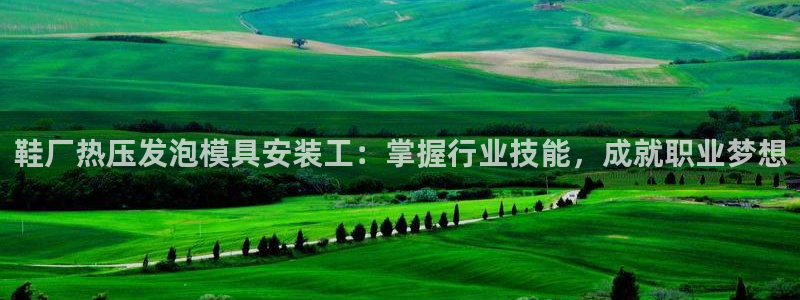 易倍单词官方网站的：鞋厂热压发泡模具安装工：掌握行业技能