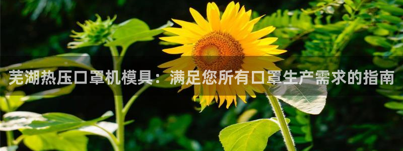 Emc易赔体育