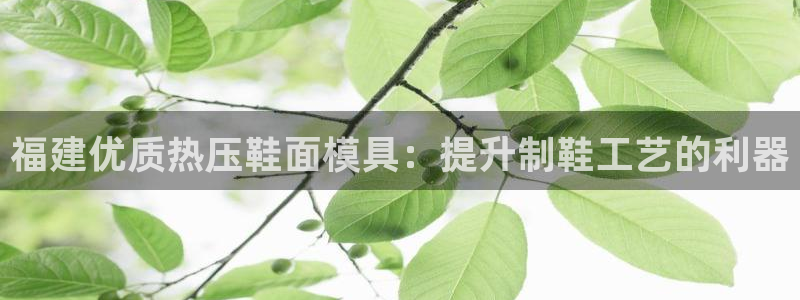 易倍网络技术有限公司官网