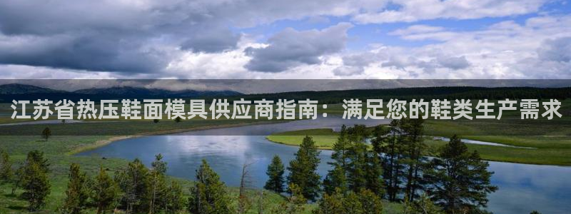 易倍申片的功效与作用：江苏省热压鞋面模具供应商指南：满足