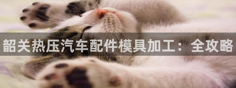 易倍纤价格