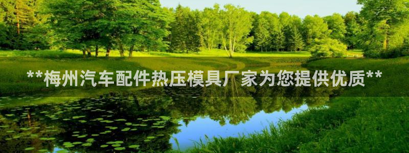 emc易倍app官网下载：**梅州汽车配件热压模具厂家为