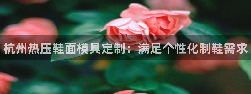 易倍app网站
