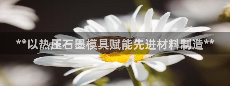 易倍康简历：**以热压石墨模具赋能先进材料制造**