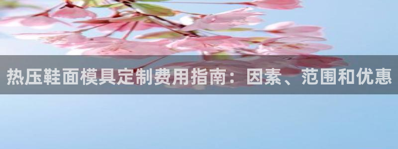 易倍全站：热压鞋面模具定制费用指南：因素、范围和优惠