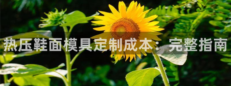 emc易贝体育怎么样：热压鞋面模具定制成本：完整指南