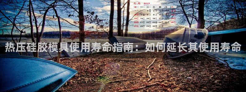 易倍达科技有限公司怎么样：热压硅胶模具使用寿命指南：如何