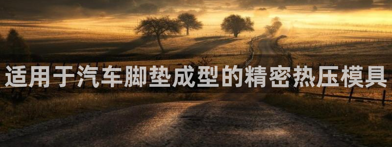 易倍申片：适用于汽车脚垫成型的精密热压模具