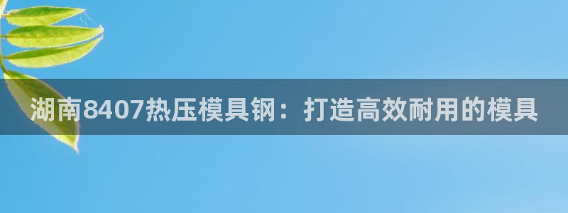 emc服务器是干啥的：湖南8407热压模具钢：打造高效耐