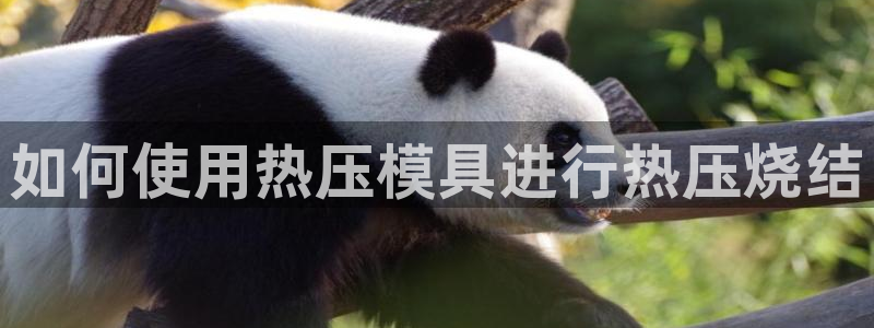易倍申怎么样