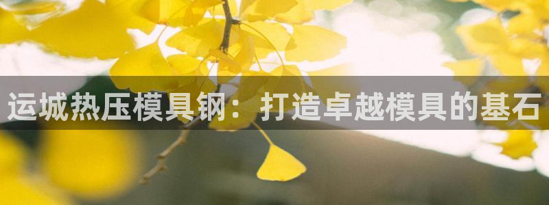 易倍申服用方法：运城热压模具钢：打造卓越模具的基石