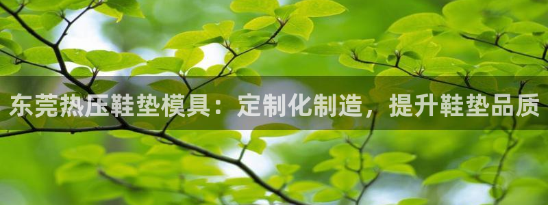 杭州易倍达上班怎么样：东莞热压鞋垫模具：定制化制造，提升