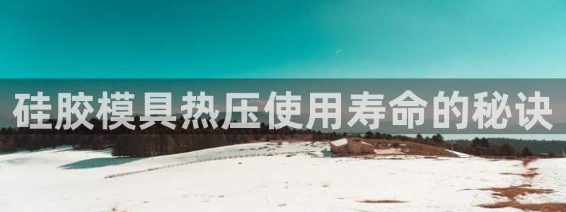 易倍康简历：硅胶模具热压使用寿命的秘诀