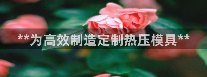 emc频率：**为高效制造定制热压模具**