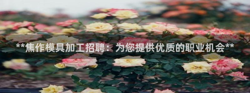 易倍申厂家：**焦作模具加工招聘：为您提供优质的职业机会
