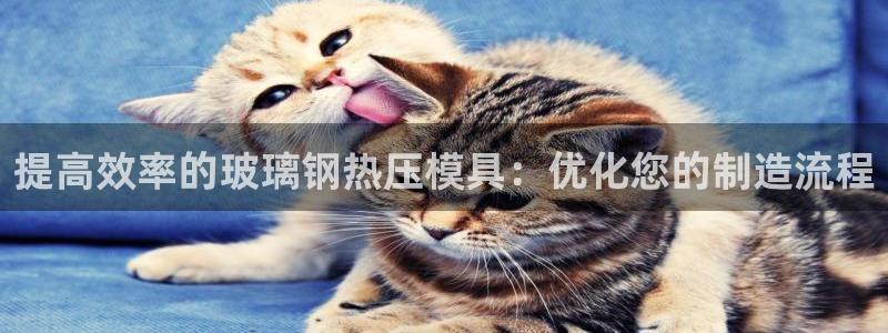 易倍申片的功效与作用：提高效率的玻璃钢热压模具：优化您的
