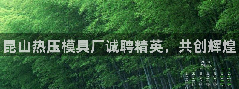 易倍达怎么样
