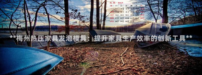 emcapp下载普通下载：**梅州热压家具发泡模具：提升