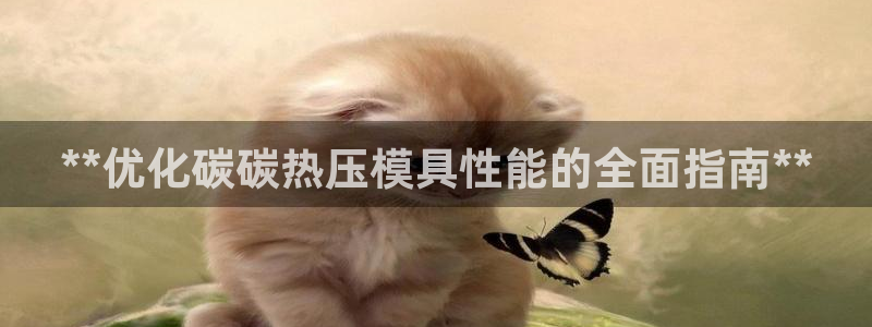 EMC易倍官方网址：**优化碳碳热压模具性能的全面指南*