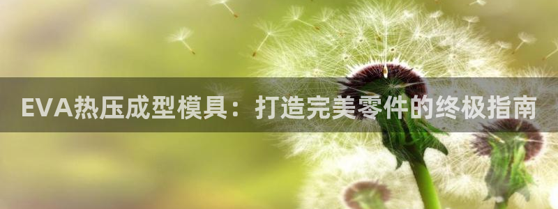 emc全站app下载