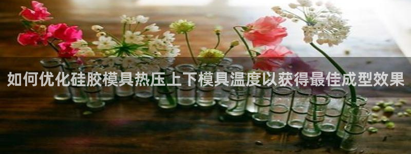 emc全站app下载：如何优化硅胶模具热压上下模具温度以