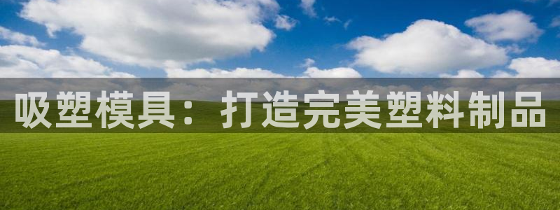 易倍纤谷物粉效果好吗：吸塑模具：打造完美塑料制品