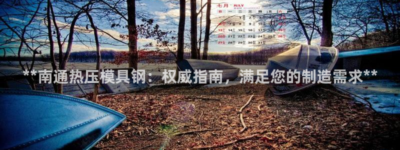 emc易倍下载：**南通热压模具钢：权威指南，满足您的制