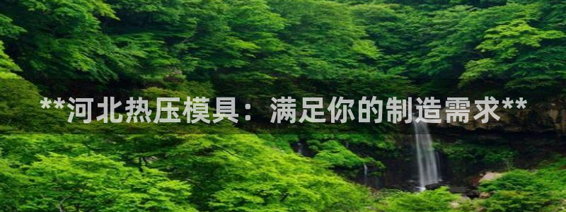 EMC易倍官方网址：**河北热压模具：满足你的制造需求*