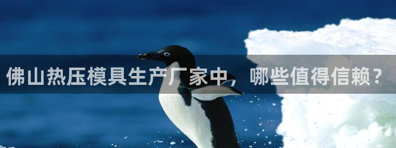 易倍思教育
