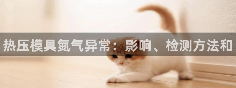 易倍达科技有限公司官网：热压模具氮气异常：影响、检测方法