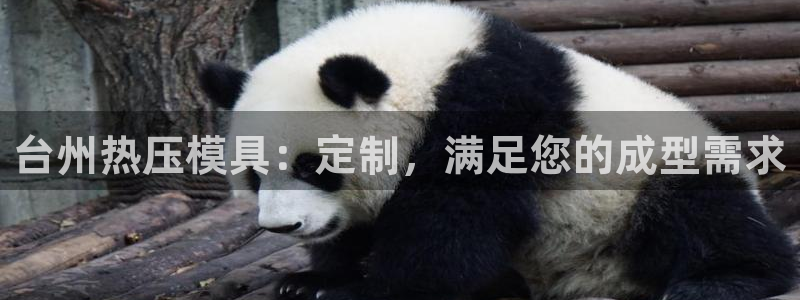 emc易倍电竞：台州热压模具：定制，满足您的成型需求