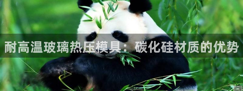 易倍申多少钱