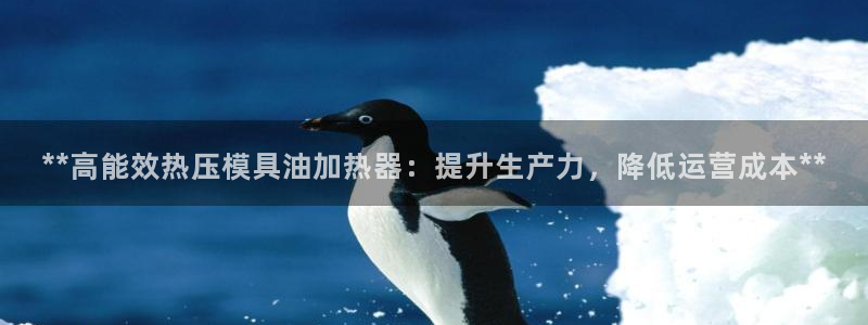 易倍英语官方网站登录：**高能效热压模具油加热器：提升生