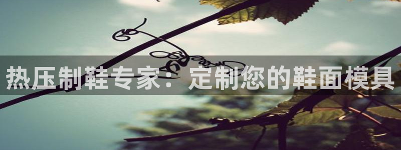 emc易倍网站是多少