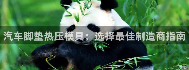 易倍app官网下载安装