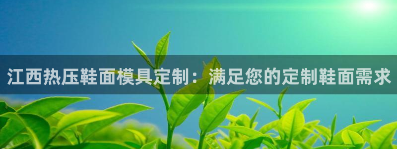emc全站网页版：江西热压鞋面模具定制：满足您的定制鞋面
